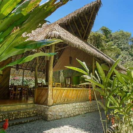 Esquinas Rainforest Lodge Golfito Εξωτερικό φωτογραφία
