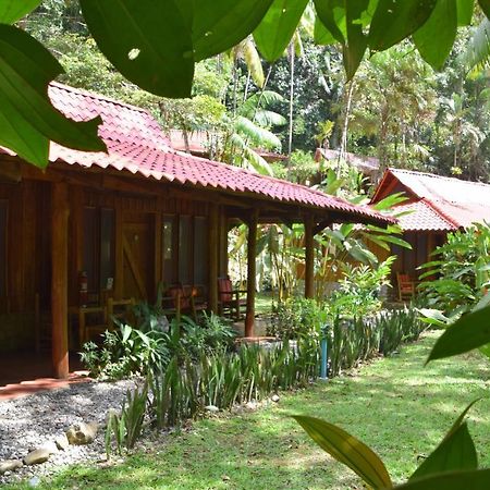 Esquinas Rainforest Lodge Golfito Εξωτερικό φωτογραφία