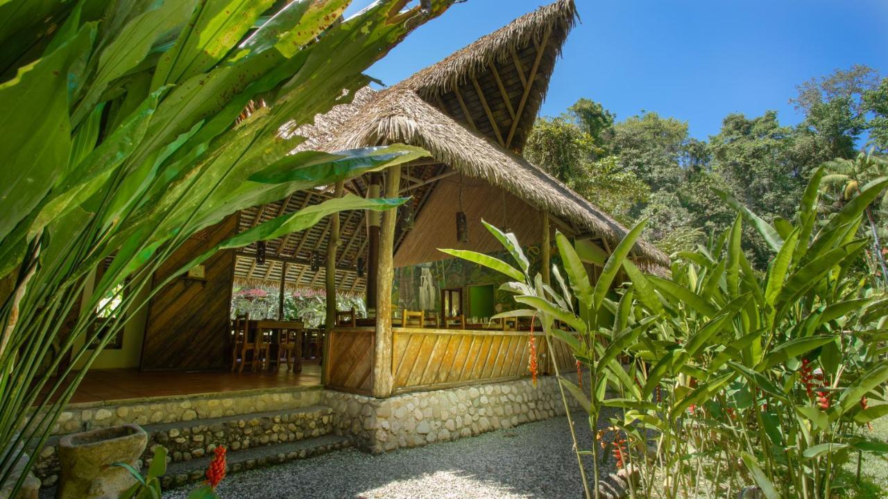 Esquinas Rainforest Lodge Golfito Εξωτερικό φωτογραφία