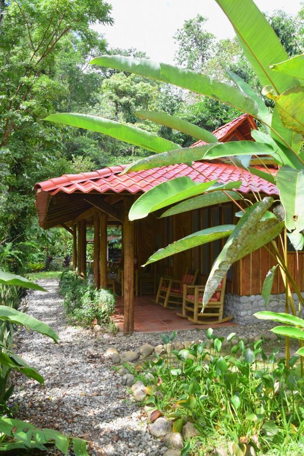 Esquinas Rainforest Lodge Golfito Εξωτερικό φωτογραφία