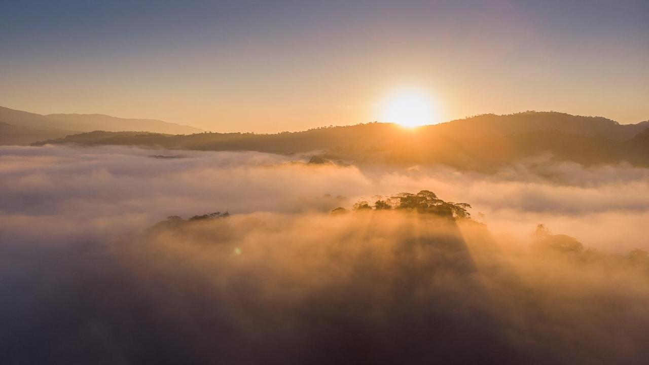 Esquinas Rainforest Lodge Golfito Εξωτερικό φωτογραφία