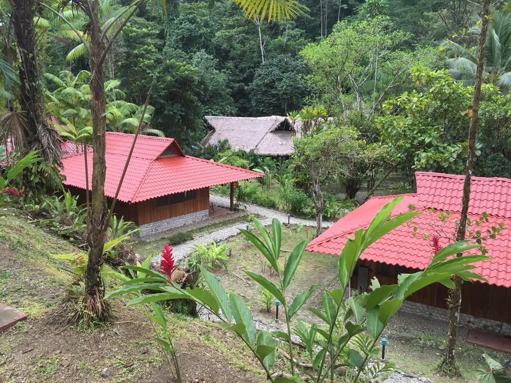 Esquinas Rainforest Lodge Golfito Εξωτερικό φωτογραφία