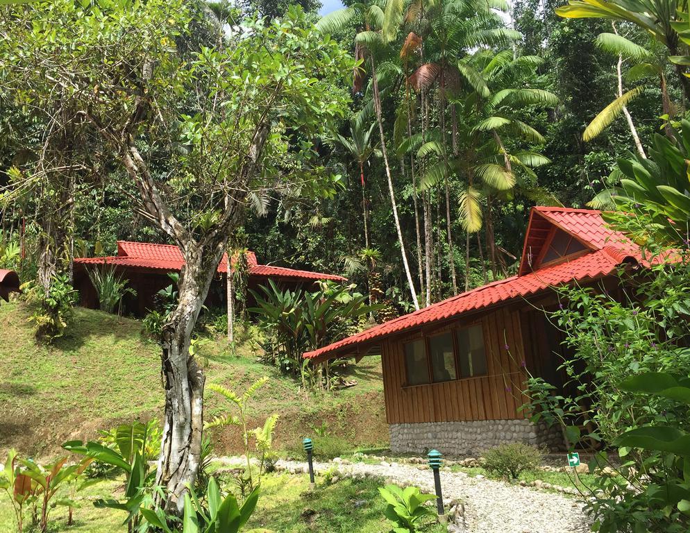 Esquinas Rainforest Lodge Golfito Εξωτερικό φωτογραφία
