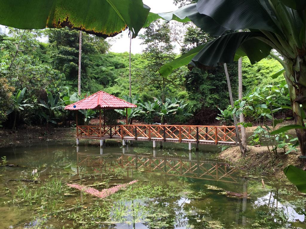 Esquinas Rainforest Lodge Golfito Εξωτερικό φωτογραφία