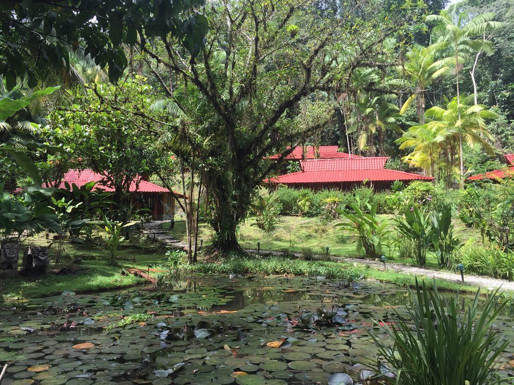 Esquinas Rainforest Lodge Golfito Εξωτερικό φωτογραφία