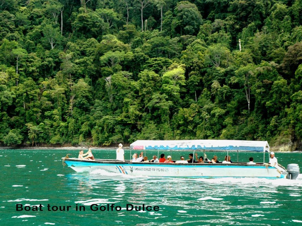 Esquinas Rainforest Lodge Golfito Εξωτερικό φωτογραφία