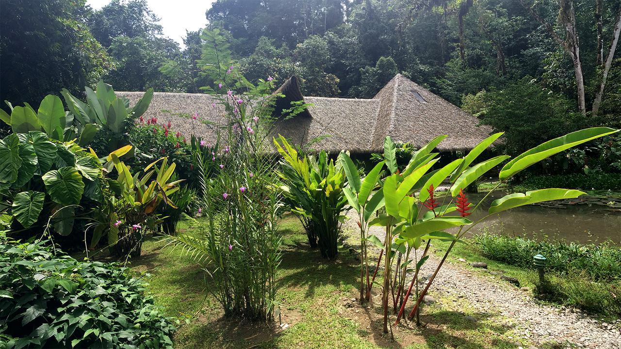Esquinas Rainforest Lodge Golfito Εξωτερικό φωτογραφία