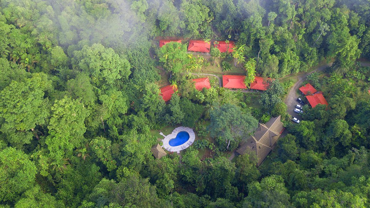 Esquinas Rainforest Lodge Golfito Εξωτερικό φωτογραφία