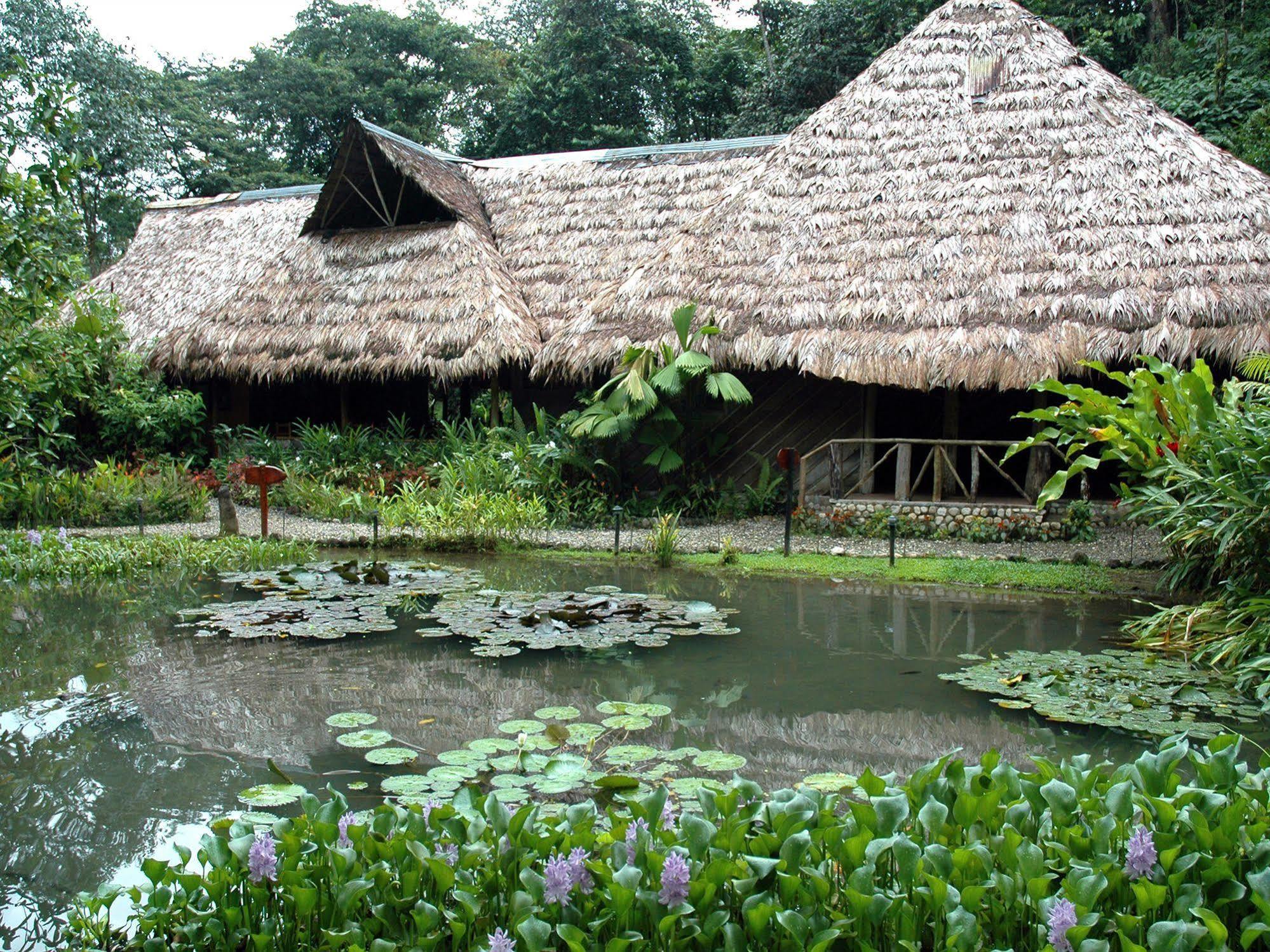 Esquinas Rainforest Lodge Golfito Εξωτερικό φωτογραφία