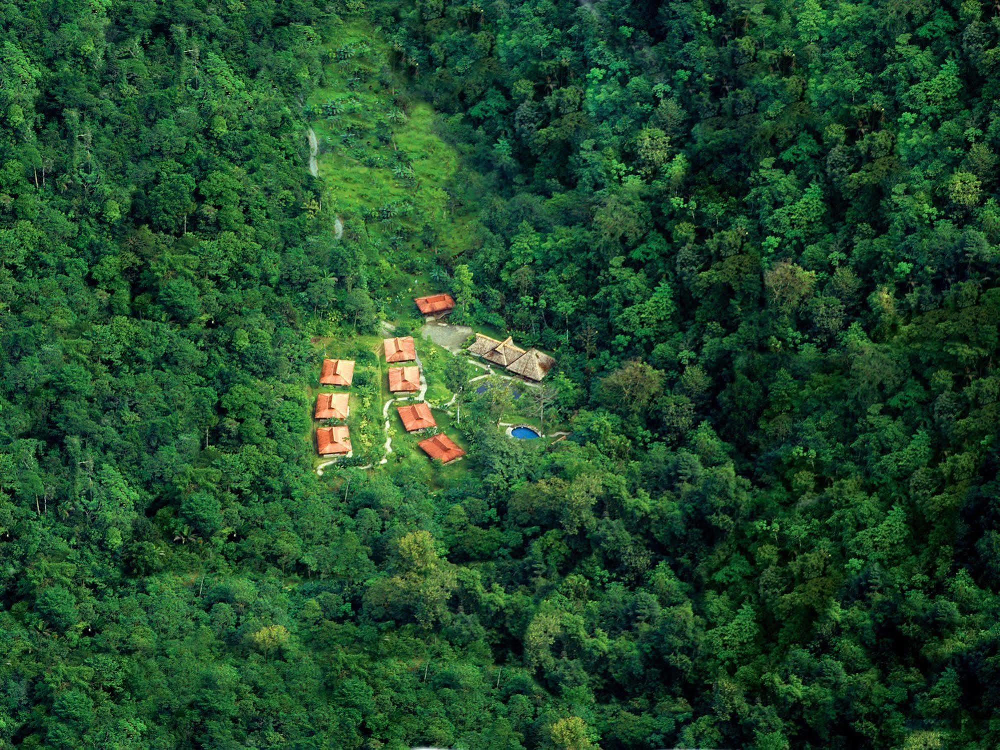 Esquinas Rainforest Lodge Golfito Εξωτερικό φωτογραφία