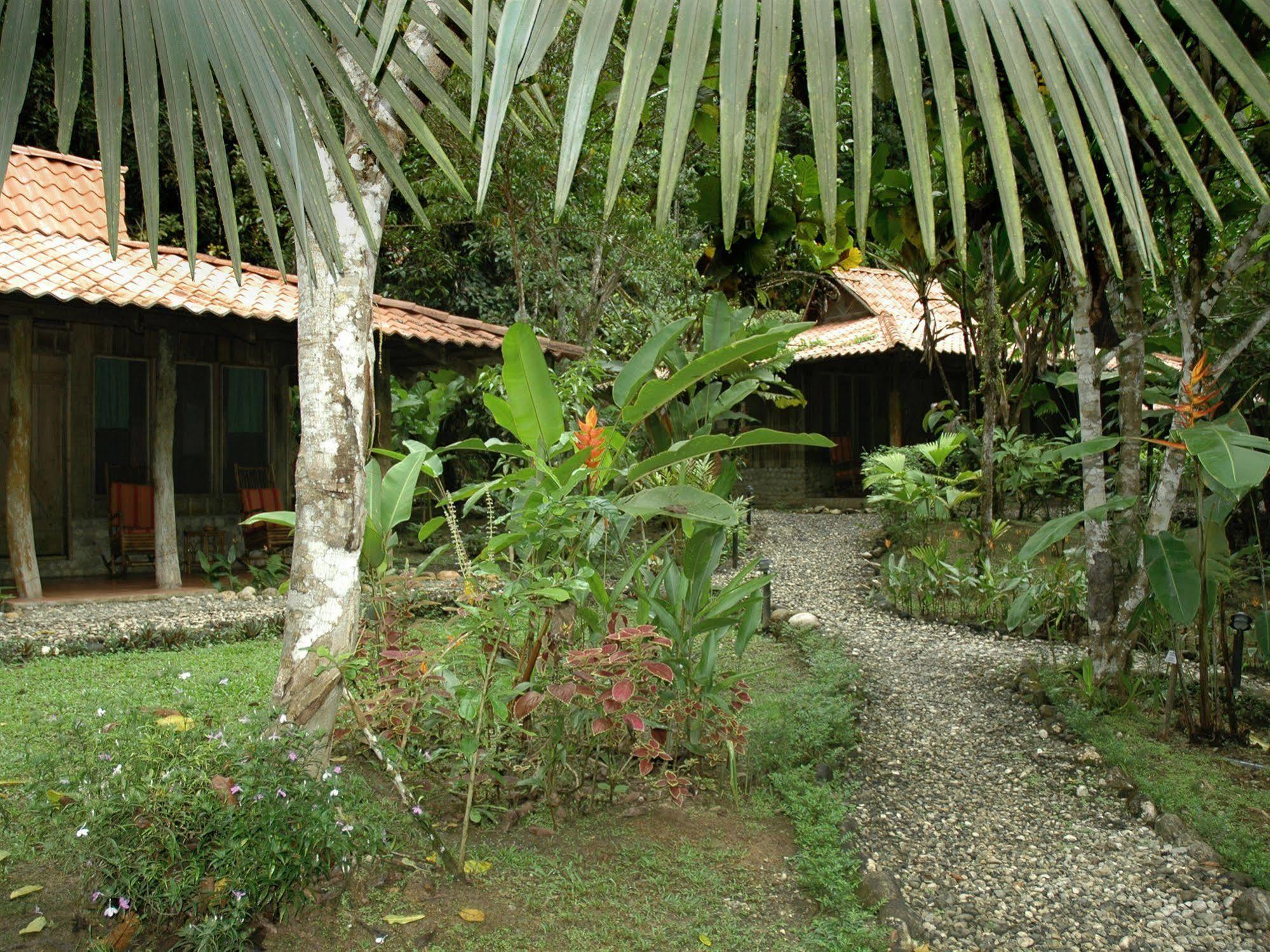 Esquinas Rainforest Lodge Golfito Εξωτερικό φωτογραφία
