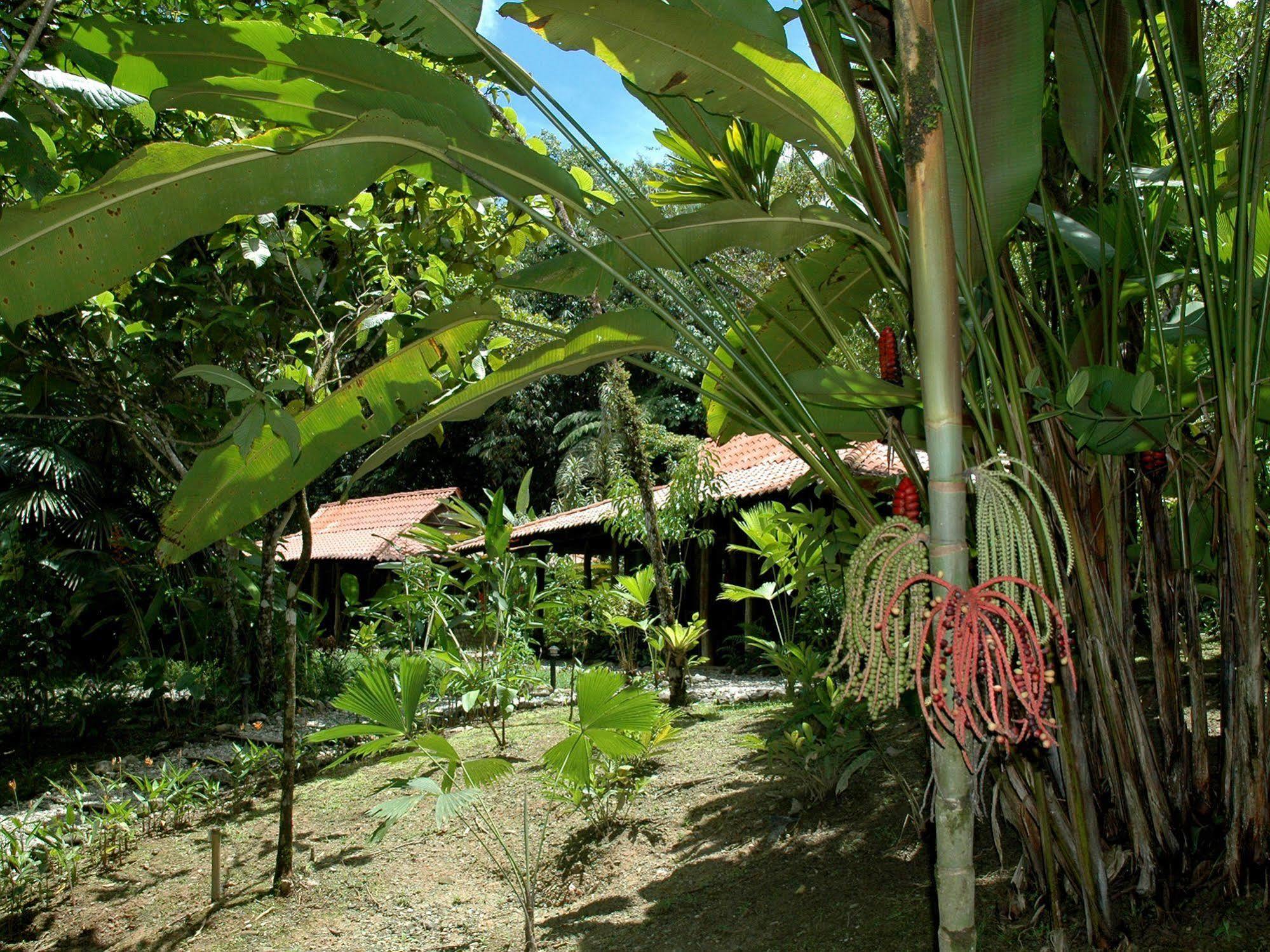 Esquinas Rainforest Lodge Golfito Εξωτερικό φωτογραφία