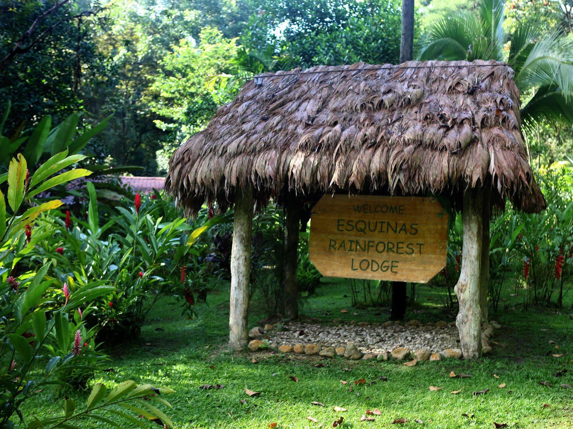Esquinas Rainforest Lodge Golfito Εξωτερικό φωτογραφία